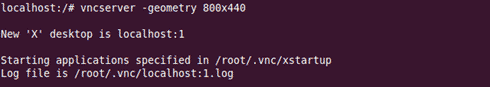 vnc server startup